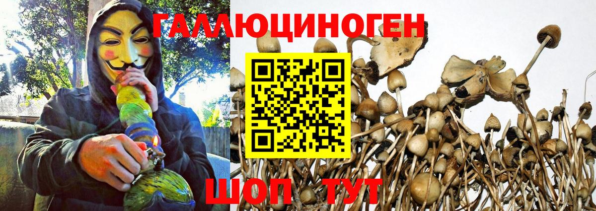 Галлюциногенные грибы MAGIC MUSHROOMS  Псилоцибиновые грибы Psilocybe  Гулькевичи  Вход с VPN 