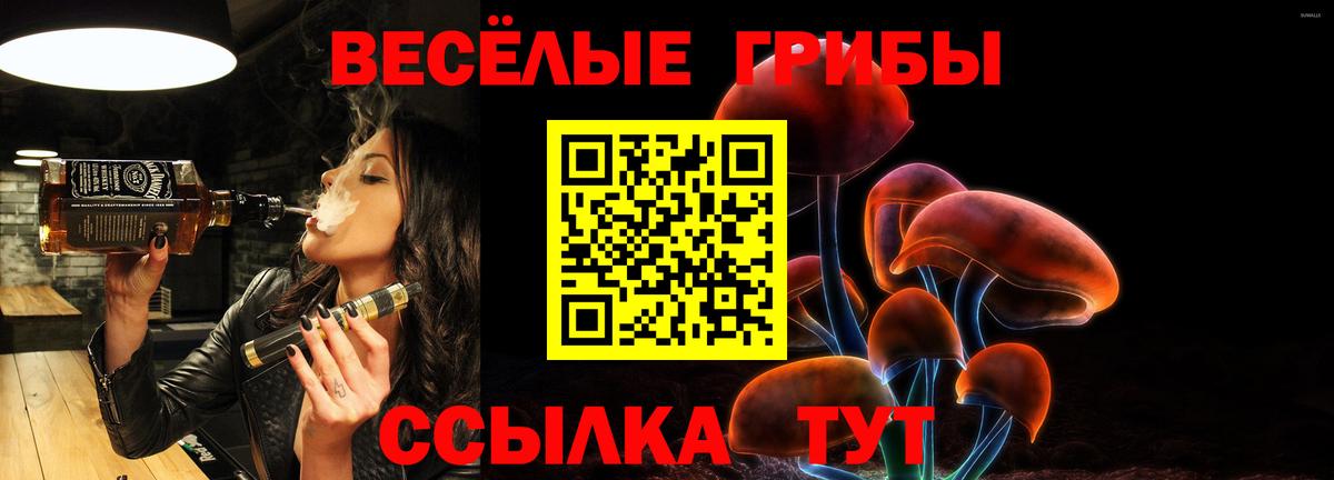 Псилоцибиновые грибы Psilocybe Гулькевичи