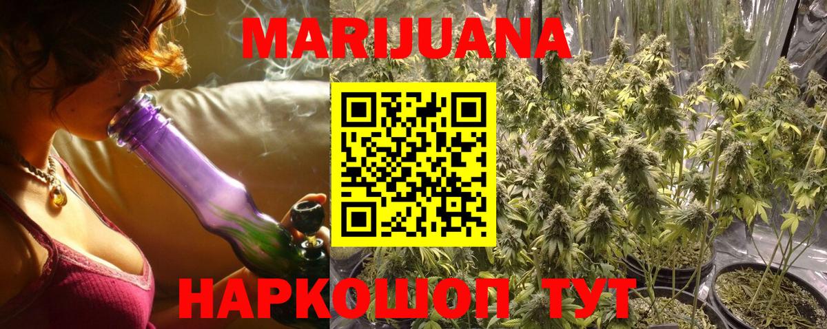 Канабис сатива Гулькевичи
